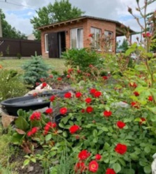 Продам дачу СТ «Будівельник», фото 2 Продам дачу СТ «Будівельник», фото 2