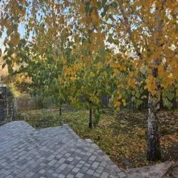 ������ ������� ������� �� ����� ��������� � �������������� ���� 16