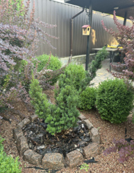 Продам будинок в Лесопарковій зоні біля озера фото 12 Продам будинок в Лесопарковій зоні біля озера фото 12