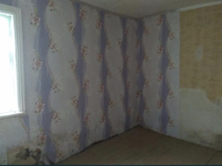 ������ ����� ���� �� ������� ���� 5