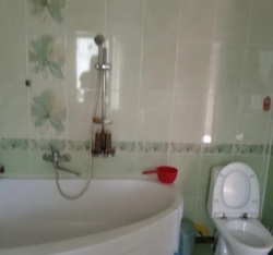 Продам будиное в Созонівці (Опитне поле) фото 6 Продам будиное в Созонівці (Опитне поле) фото 6