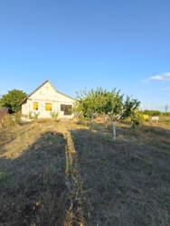 ������ ������� ������� �� ������� �������� / ������ ���� 11