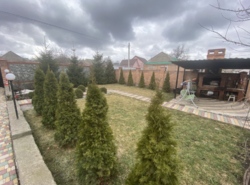 ������ ������� � �������������� �� ����������� ���� 11