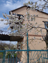 ������ ���� � �� ������ ���� 3