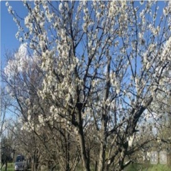 ������ ��������� ������� � ����� '��' �������� ���� 4