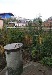 ������ ���� (���������) '������' ���� 2