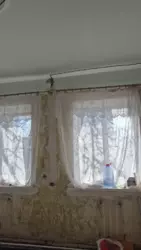 ������ �������� ������� � ��� ������������� ���� 6