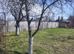 ������ ���� � ���������� '�����������' ���� 4