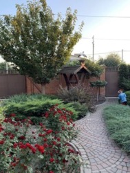 ������ ������� � ��� �������������, ����� ������������� ���� 5