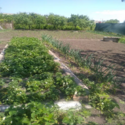 Продам дом на Кущевке фото 2 Продам дом на Кущевке фото 2