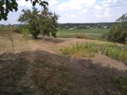 ������ ��� �� ������ ��������� ���� 6