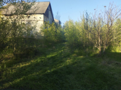 ������ ���� ������ ���� 1