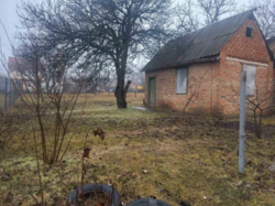 Продам дачу у кооперативі 'Дружба' фото 2 Продам дачу у кооперативі 'Дружба' фото 2