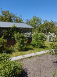 ������ ���� � �� ������ ���� 12