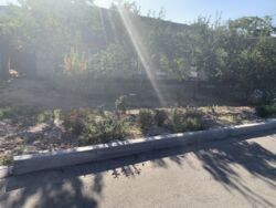 ������ ��� ���� �� ���������� � ������������ ���� 7