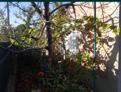 ������ ������� � �������������� �� ������� ���� 6