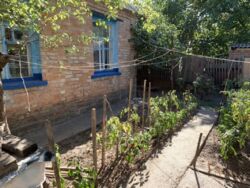 ������ ��� ���� �� ���������� � ������������ ���� 17