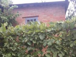 Продам дачу в дачному кооперативі ''Будівельник' фото 1 Продам дачу в дачному кооперативі ''Будівельник' фото 1