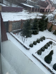 ������ ������� � �������������� �� ����������� ���� 18