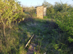 ������ ���� ������ ���� 2