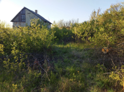 ������ ���� ������ ���� 3