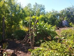 Продам дачу в СТ Тимирязева за аэропортом фото 7 Продам дачу в СТ Тимирязева за аэропортом фото 7