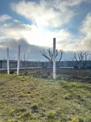 ������ �������/���� � �. ������ ���� 8