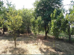 ������ ������� � �������������� �� ó������� ���� 7