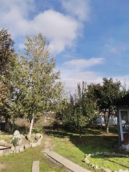 Продам дом на Маслениковке в Кропивницком фото 8 Продам дом на Маслениковке в Кропивницком фото 8