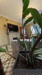 Продам будинок на Новій Балашівці в Кропивницькому фото 11 Продам будинок на Новій Балашівці в Кропивницькому фото 11