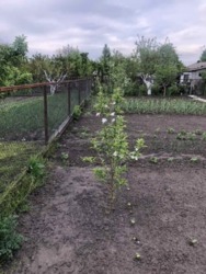 Продам дом на Маслениковке в Кропивницком фото 6 Продам дом на Маслениковке в Кропивницком фото 6