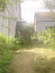 ������ ������� � ��������� ���� 8