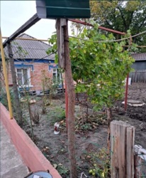 ������ ��� �������� ������� �� ����� ��������� ������ �-� �.����� ���� 13