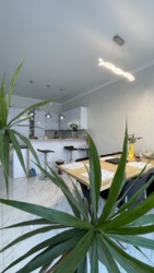 ������ ������� ���������� �� �������� ���� 17