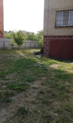 ������ ������� �. ������, 241 ��.�. �� 10 ��. ����. ���� 6