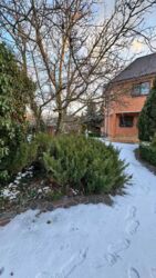 Продам будинок в Козині з виходом до річки Козинка. фото 7 Продам будинок в Козині з виходом до річки Козинка. фото 7