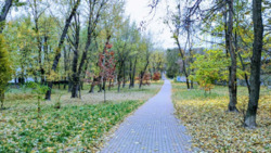 ������ ������� �� ��. ��������, � ����� ��������� ����.. ���� 11