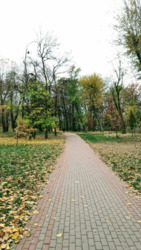 ������ ������� �� ��. ��������, � ����� ��������� ����.. ���� 13