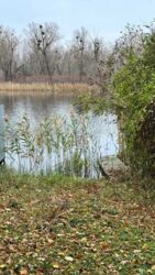 Продам будинок в Козині з виходом до річки Козинка. фото 9 Продам будинок в Козині з виходом до річки Козинка. фото 9