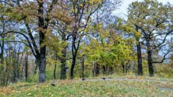 ������ ������� �� ��. ��������, � ����� ��������� ����.. ���� 12