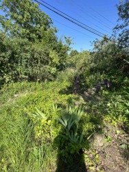 Продам дачу поруч село Гайдари біля БіоСтанції - до річки 1,5 км! фото 12 Продам дачу поруч село Гайдари біля БіоСтанції - до річки 1,5 км! фото 12