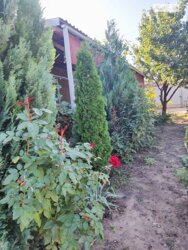 Продається будинок Запорізька, Запоріжжя, Комунарський, Продольна фото 9 Продається будинок Запорізька, Запоріжжя, Комунарський, Продольна фото 9