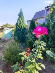 Продається будинок Запорізька, Запоріжжя, Комунарський, Продольна фото 7 Продається будинок Запорізька, Запоріжжя, Комунарський, Продольна фото 7