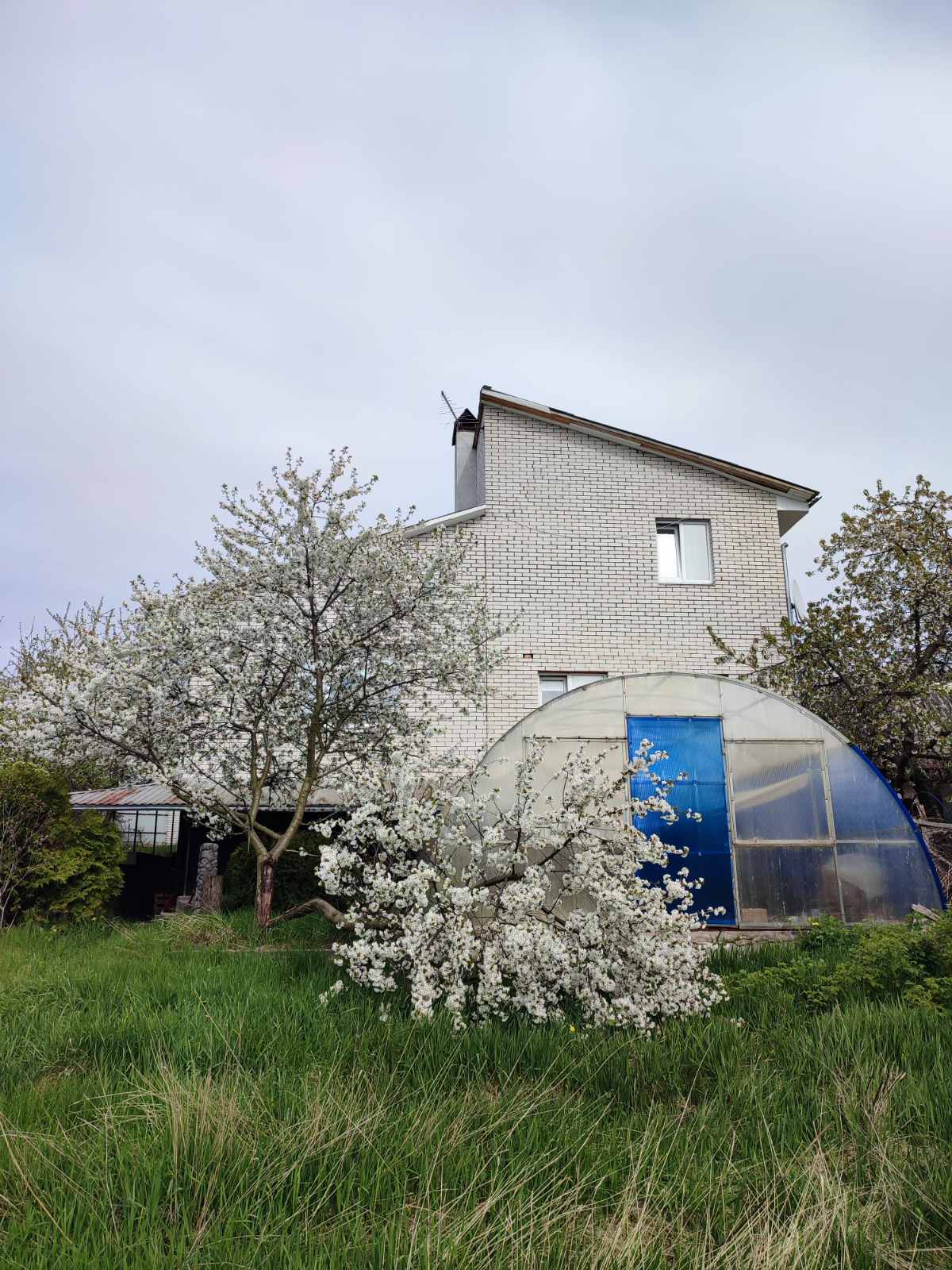 ������� ��� ��'�. ��� ������. ���. ������� ������������� ���� 1