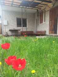 ������� ��� ��'�. ��� ������. ���. ������� ������������� ���� 4