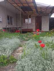 ������� ��� ��'�. ��� ������. ���. ������� ������������� ���� 5