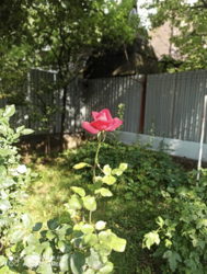 ֳ����� ������� � ����� ���� 20