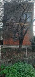 Продається будинок Станційна, 10, Холмок, Ужгородський, Закарпатська фото 1 Продається будинок Станційна, 10, Холмок, Ужгородський, Закарпатська фото 1