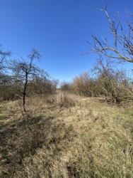 Будинок в Чопі фото 6 Будинок в Чопі фото 6