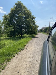������� ������� � ��� ���� 48